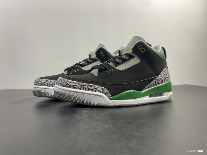 Reps LUCY Pine CT8532-030 Green Jordan 3 Air 0819